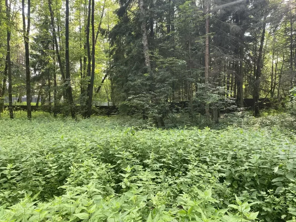 Дом в Московская область, Одинцовский городской округ, Рожновка хут., ... - Фото 1