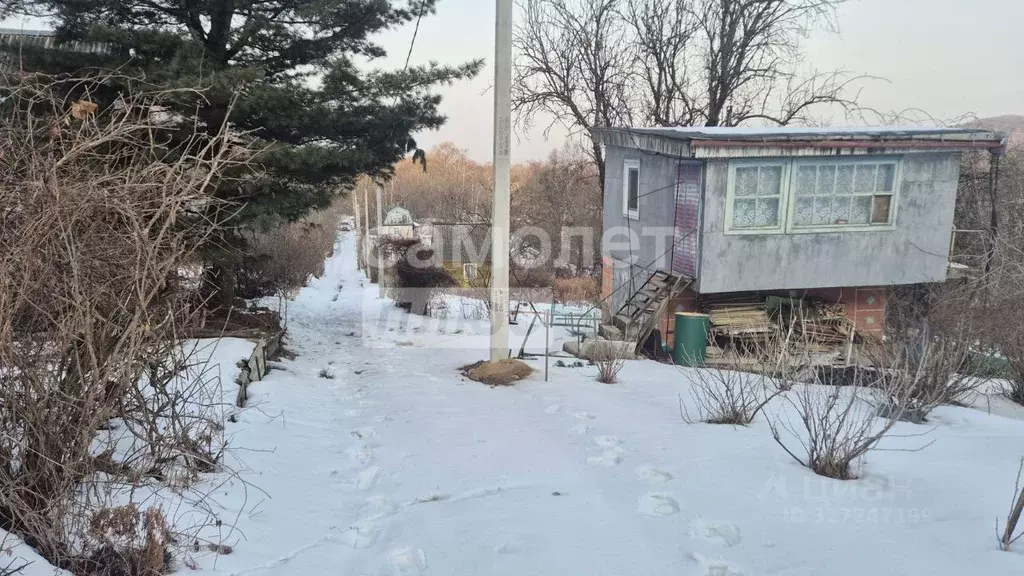 Дом в Приморский край, Артемовский городской округ, с. Суражевка ул. ... - Фото 2