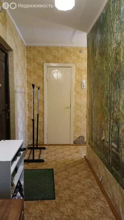 2-комнатная квартира: Сыктывкар, улица Мира, 62 (48 м) - Фото 1