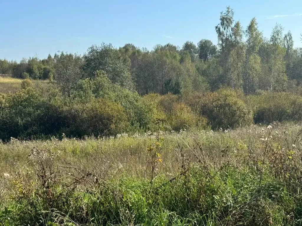 Участок в Московская область, Солнечногорск городской округ, д. Мостки ... - Фото 1