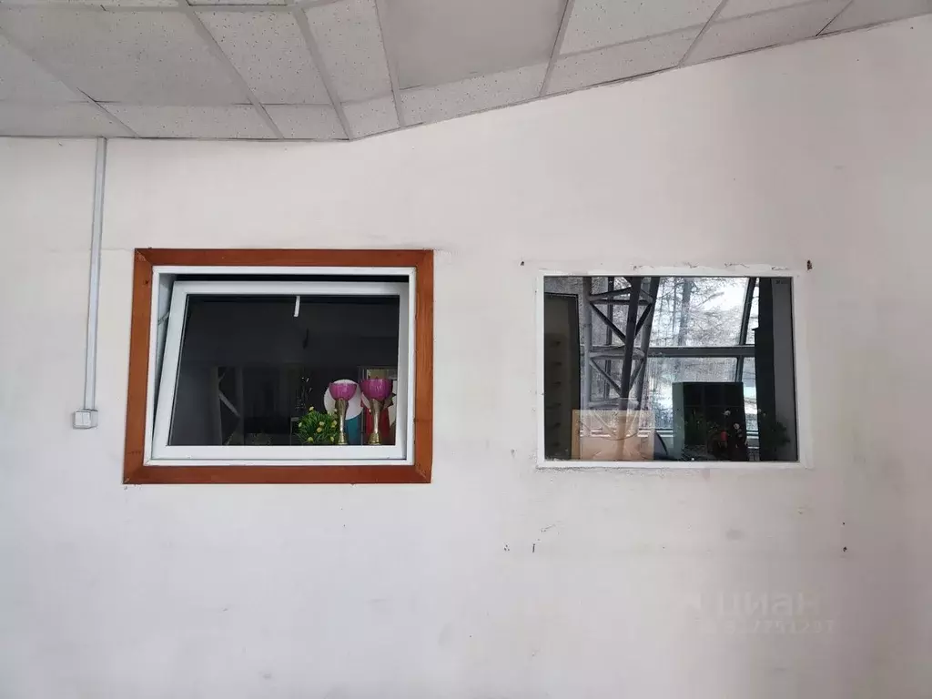 Помещение свободного назначения в Башкортостан, Уфа ул. Менделеева, ... - Фото 1