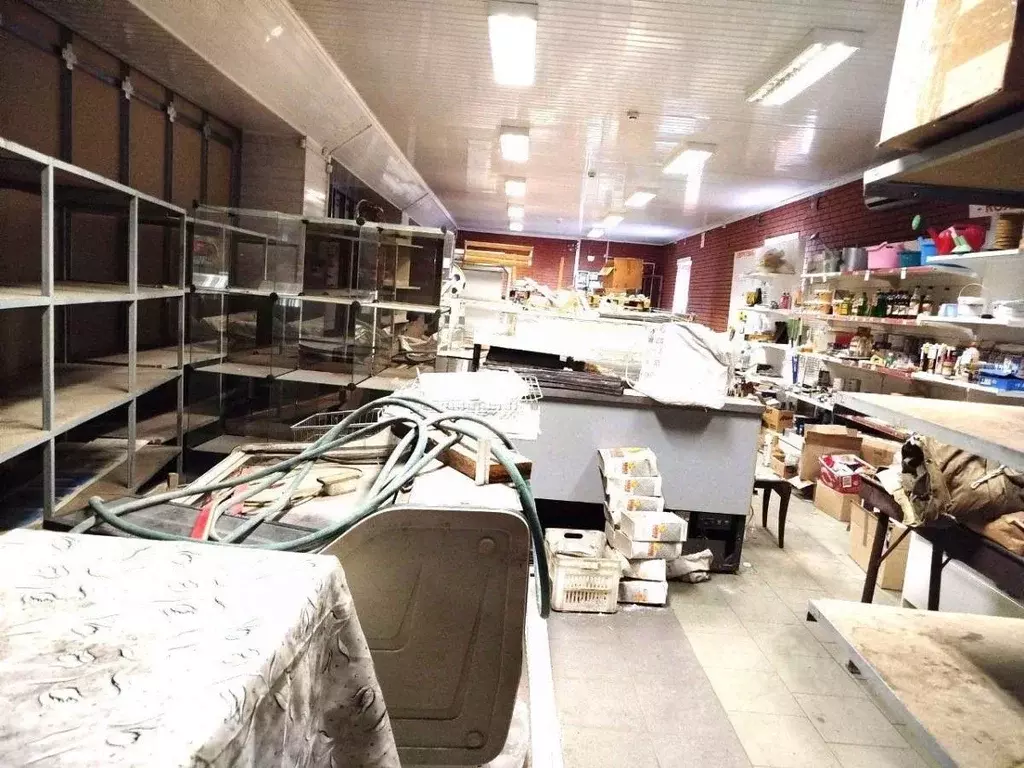 Помещение свободного назначения в Самарская область, Кинель Ясная ул., ... - Фото 1