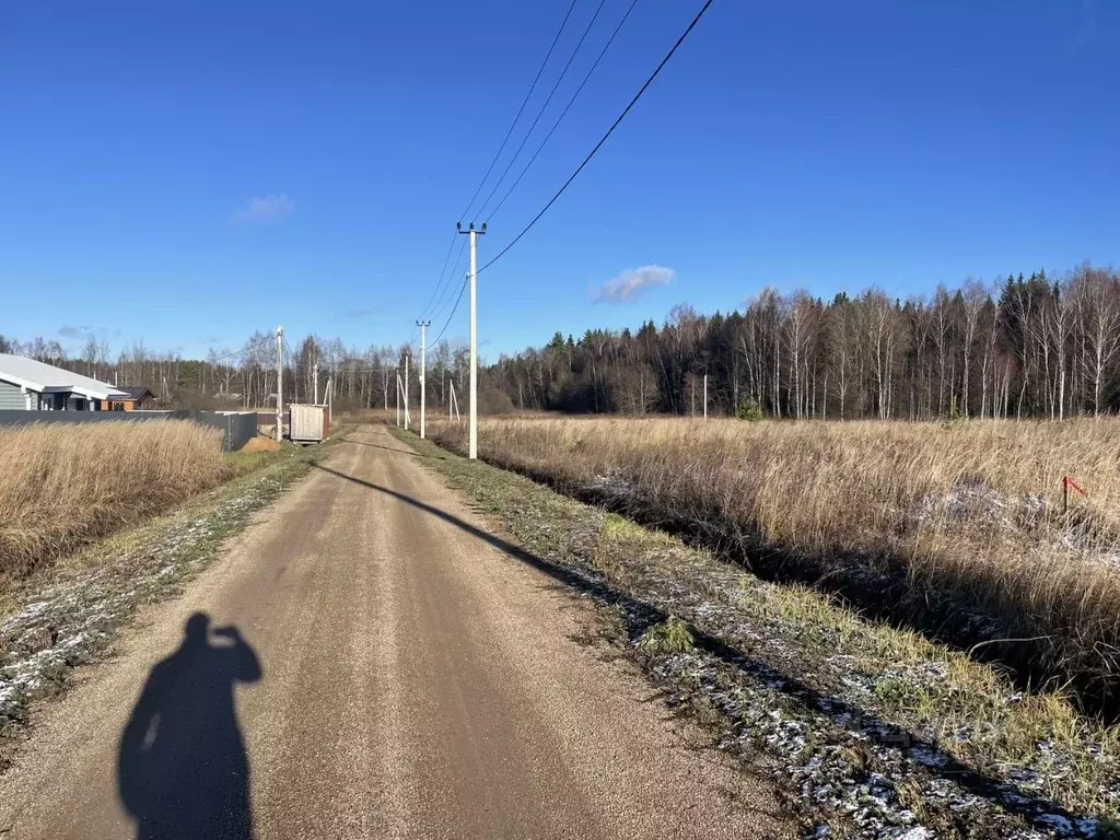 Участок в Владимирская область, Александровский район, д. Марино  ... - Фото 0