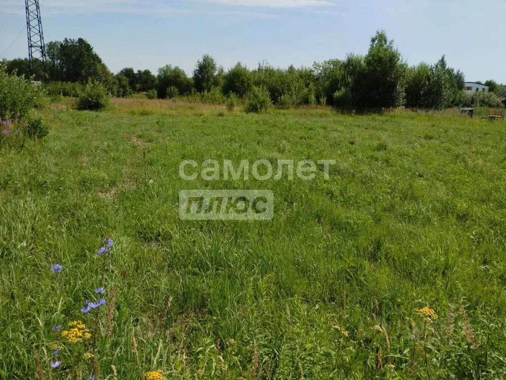 Участок в Владимирская область, Суздальский район, Новоалександровское ... - Фото 1