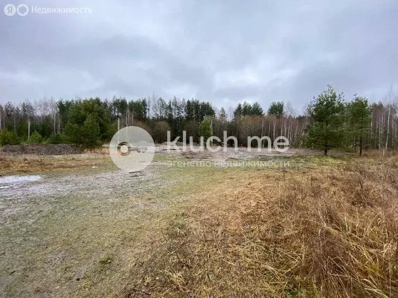 Участок в Дачное сельское поселение (10 м) - Фото 2