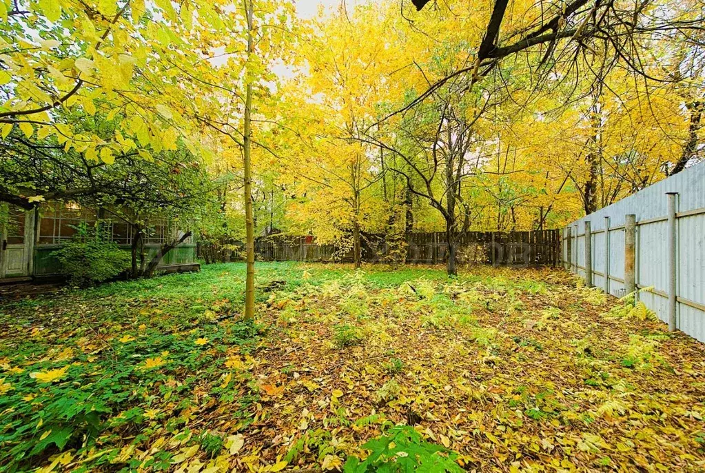 Участок в Московская область, Щелково городской округ, Загорянский пгт ... - Фото 1