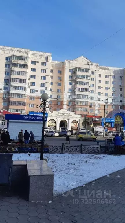 Помещение свободного назначения в Амурская область, Благовещенск ул. ... - Фото 2