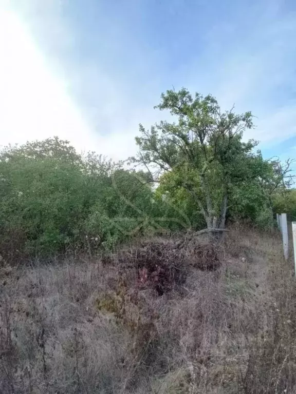 Участок в Ставропольский край, Пятигорск городской округ, пос. Свободы ... - Фото 1