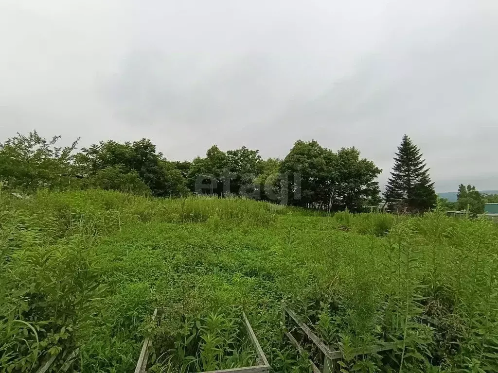 Участок в Приморский край, Надеждинский район, Планета-2 СНТ  (6.0 ... - Фото 2