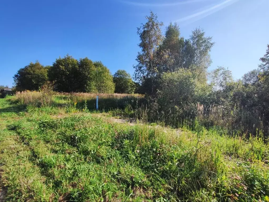 Участок в Московская область, Волоколамский муниципальный округ, д. ... - Фото 1