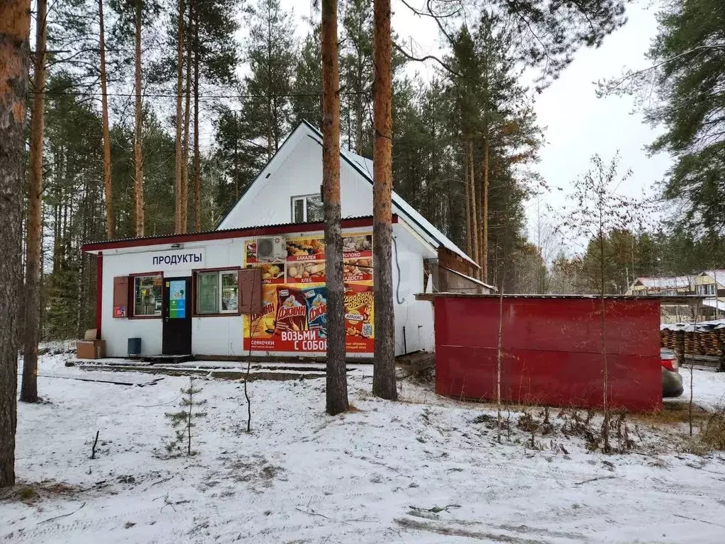 Торговая площадь в Коми, Сыктывдинский район, с. Выльгорт ул. ... - Фото 1
