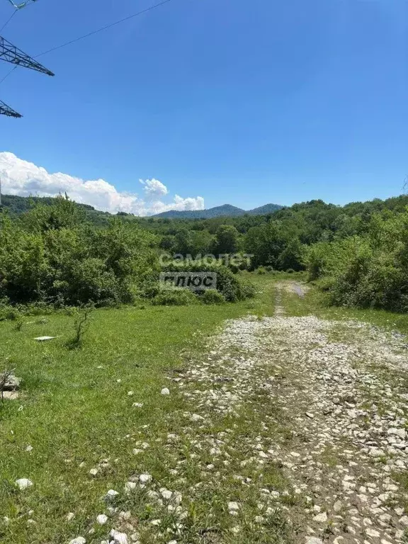 Участок в Краснодарский край, Сочи городской округ, с. Красная Воля ... - Фото 1