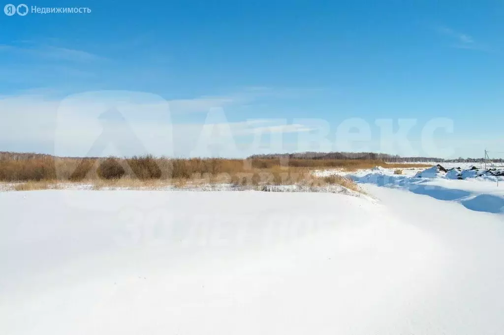 Участок в Тюменская область, Нижнетавдинский муниципальный округ, ... - Фото 2