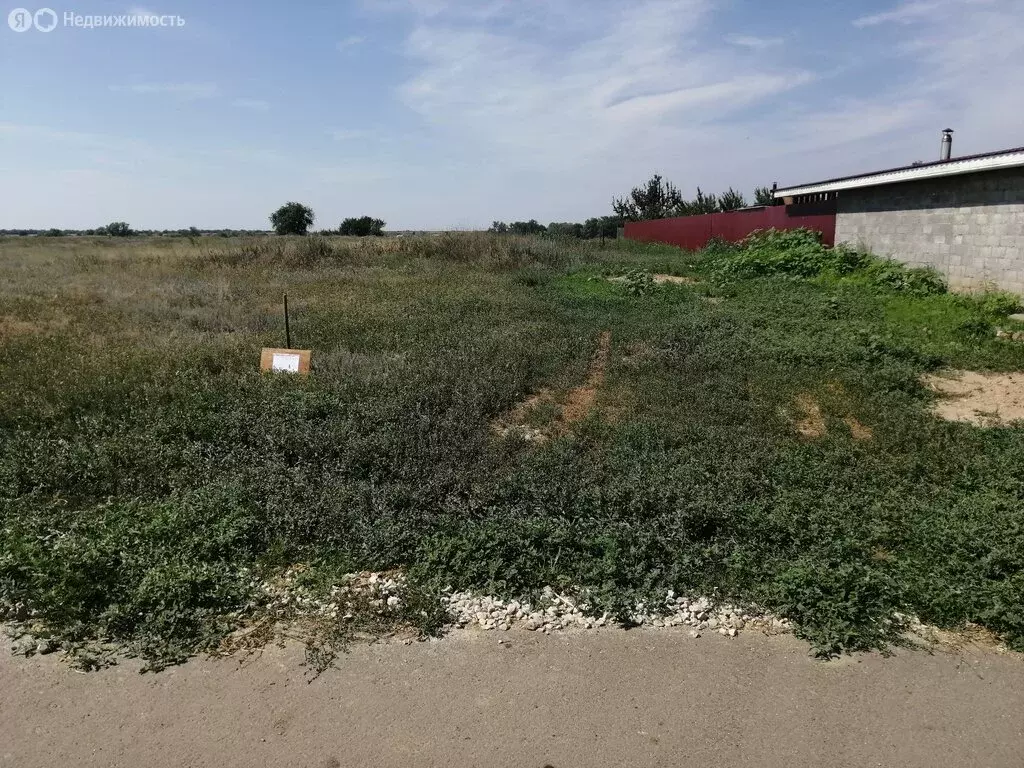 Участок в Беляевский район, Ключевский сельсовет, село Старицкое (12 ... - Фото 1