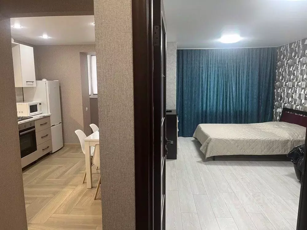 1-к кв. Саратовская область, Энгельс Трудовая ул., 12/9 (40.0 м) - Фото 1