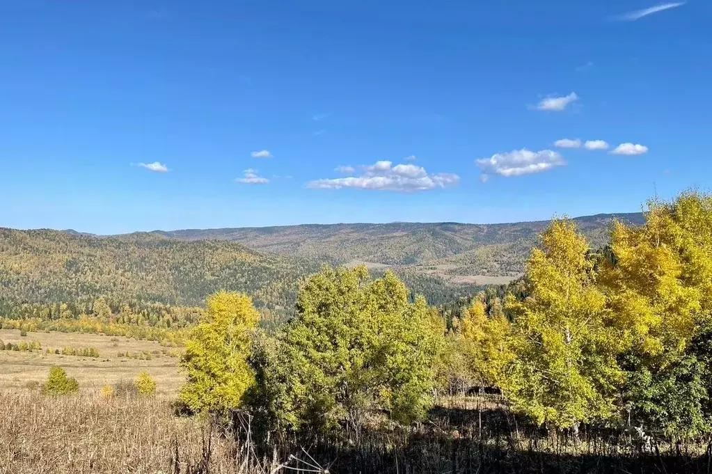 Участок в Алтай, Чемальский район, Элекмонарское с/пос, Седьмое Небо ... - Фото 2