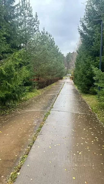 Участок в Московская область, Одинцовский городской округ, д. ... - Фото 2