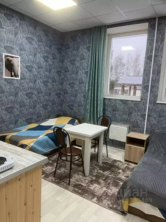 Комната Ленинградская область, Ломоносовский район, Лебяженское ... - Фото 0