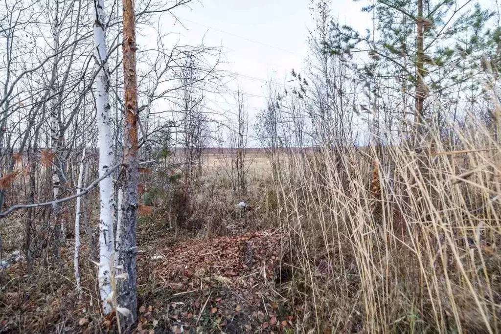 Участок в Ханты-Мансийский АО, Сургут Черемушки СТ, 14-я линия (6.0 ... - Фото 1