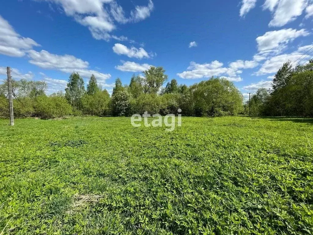 Участок в Владимирская область, Петушинский район, Нагорное ... - Фото 2