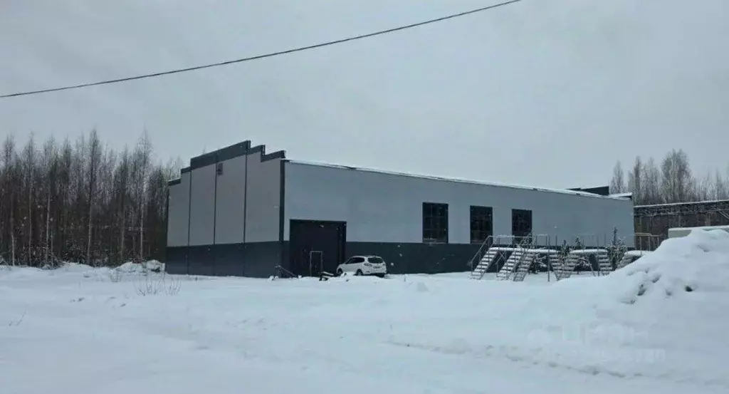 Производственное помещение в Ленинградская область, Всеволожск ул. ... - Фото 1