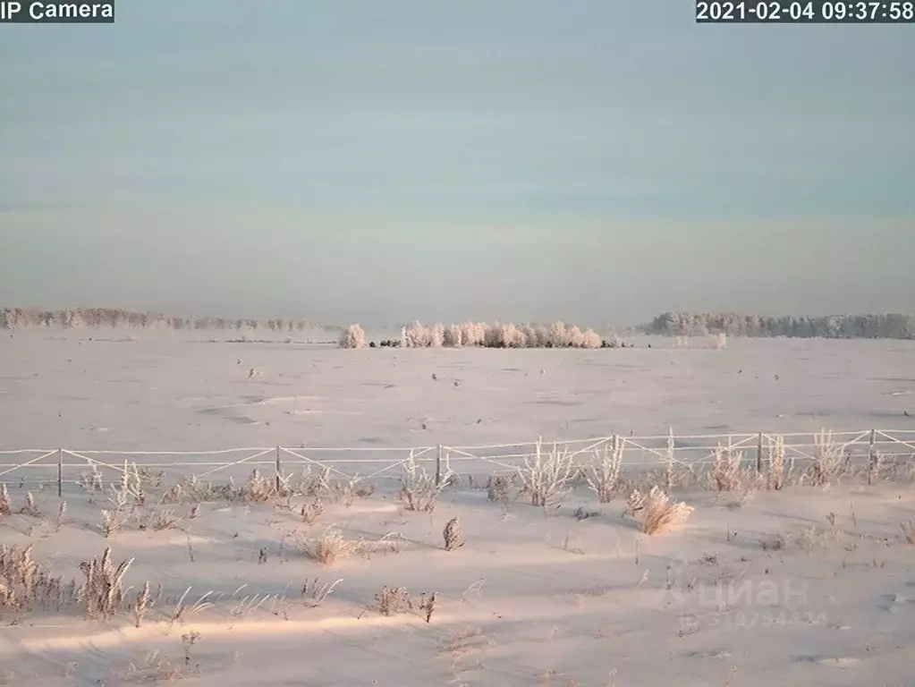 Участок в Омская область, Омск ул. Ленина (8.0 сот.) - Фото 0