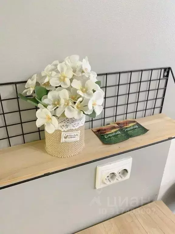 Студия Бурятия, Улан-Удэ ул. Смолина, 67к2 (22.0 м) - Фото 1