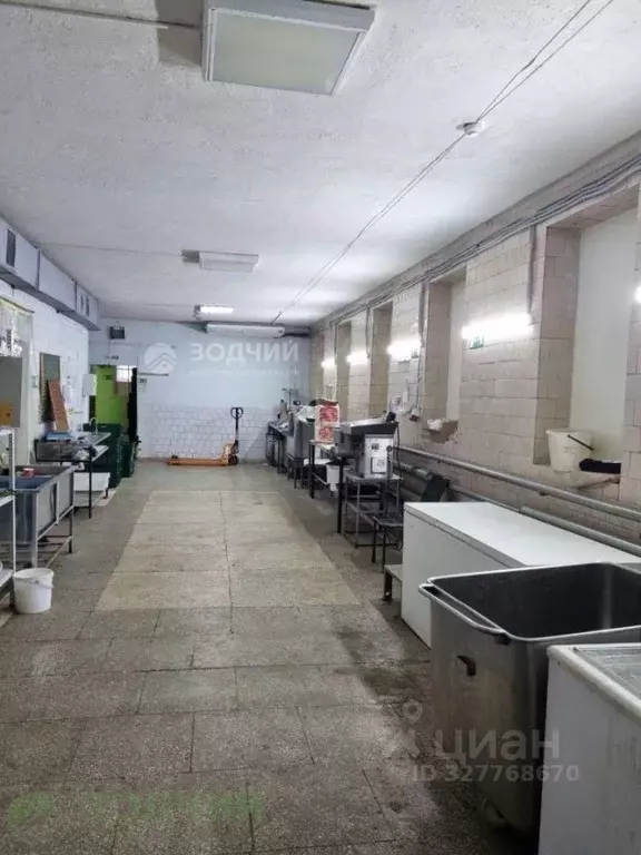 Помещение свободного назначения в Чувашия, Чебоксары ул. Магницкого, ... - Фото 2