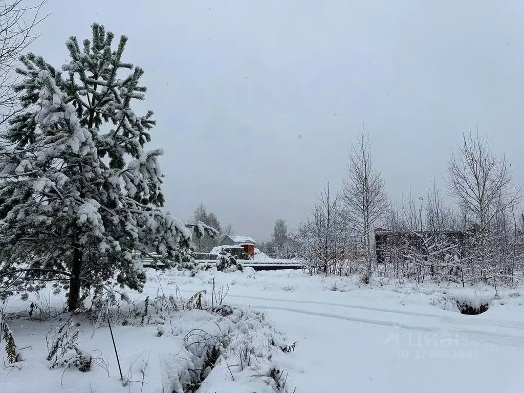Участок в Московская область, Истра муниципальный округ, д. Сафонтьево ... - Фото 2