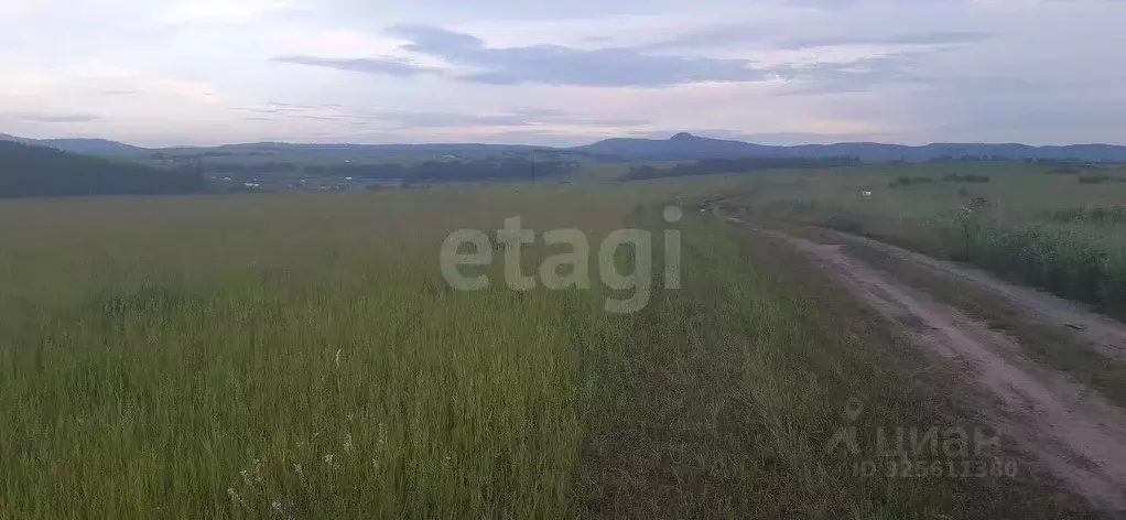 Участок в Красноярский край, Абанский муниципальный округ, с. ... - Фото 1