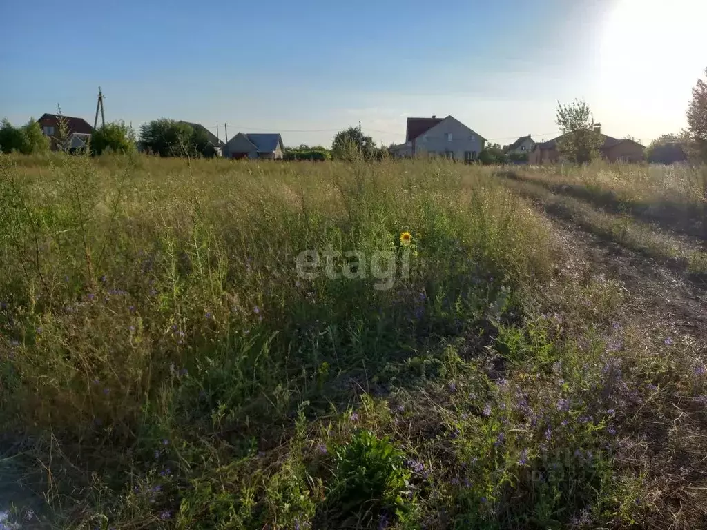 Участок в Белгородская область, Губкинский городской округ, с. Аверино ... - Фото 0