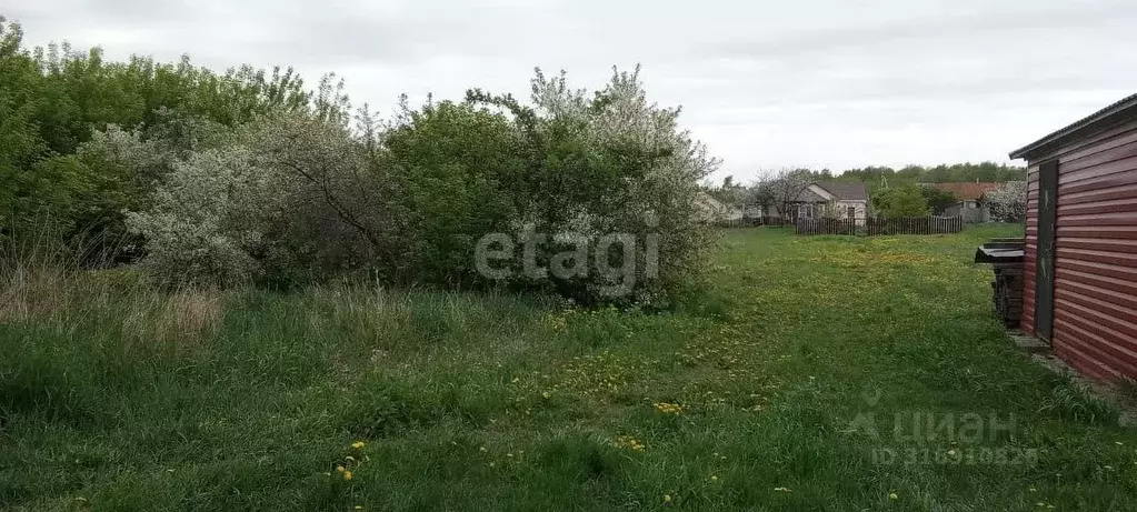 Дом в Воронежская область, с. Каширское пер. Советский (80 м) - Фото 1