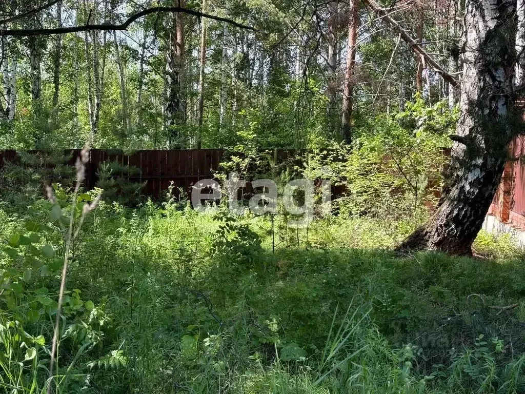 Участок в Красноярский край, Емельяновский район, Частоостровский ... - Фото 1