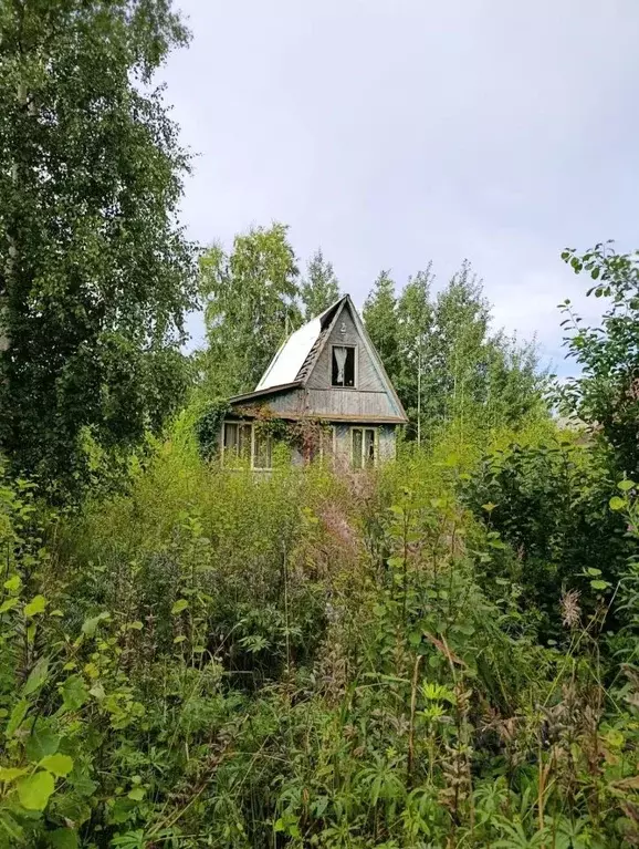 Дом в Ленинградская область, Кировский район, Синявинское городское ... - Фото 2