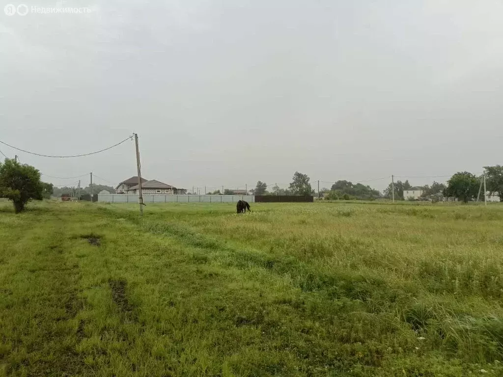 Участок в Воздвиженка, Первая улица, 15 (15.6 м) - Фото 0