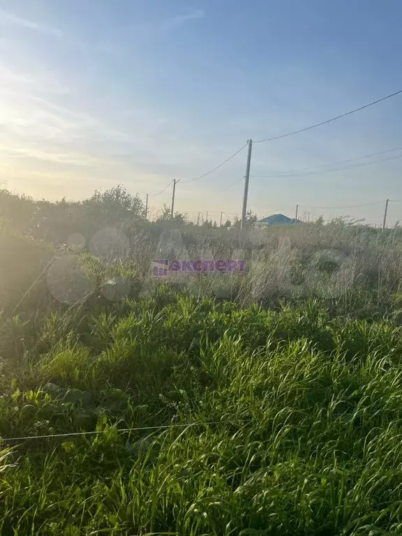 Участок 25 сот. (ИЖС) - Фото 0