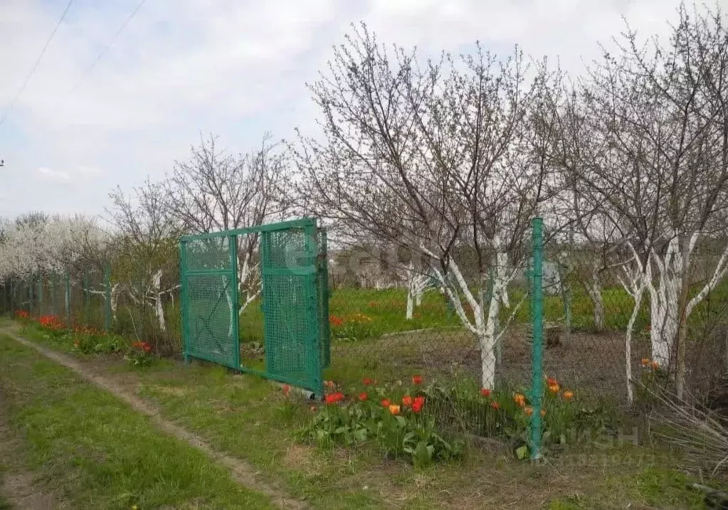 Дом в Ростовская область, Родионово-Несветайский район, Кутейниковское ... - Фото 0