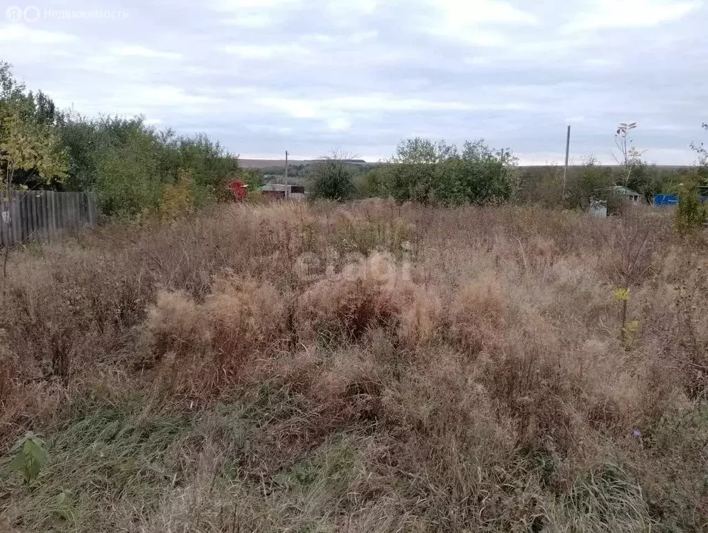 Участок в село Никольское, СТ Механизатор (4.36 м) - Фото 1