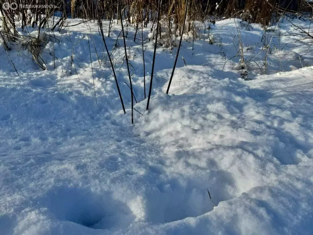 Участок в село Шагаровка, СТ Ёлочка (5.89 м) - Фото 2