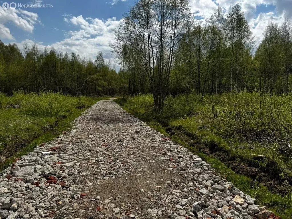 Участок в Московская область, Дмитровский муниципальный округ, дачный ... - Фото 1