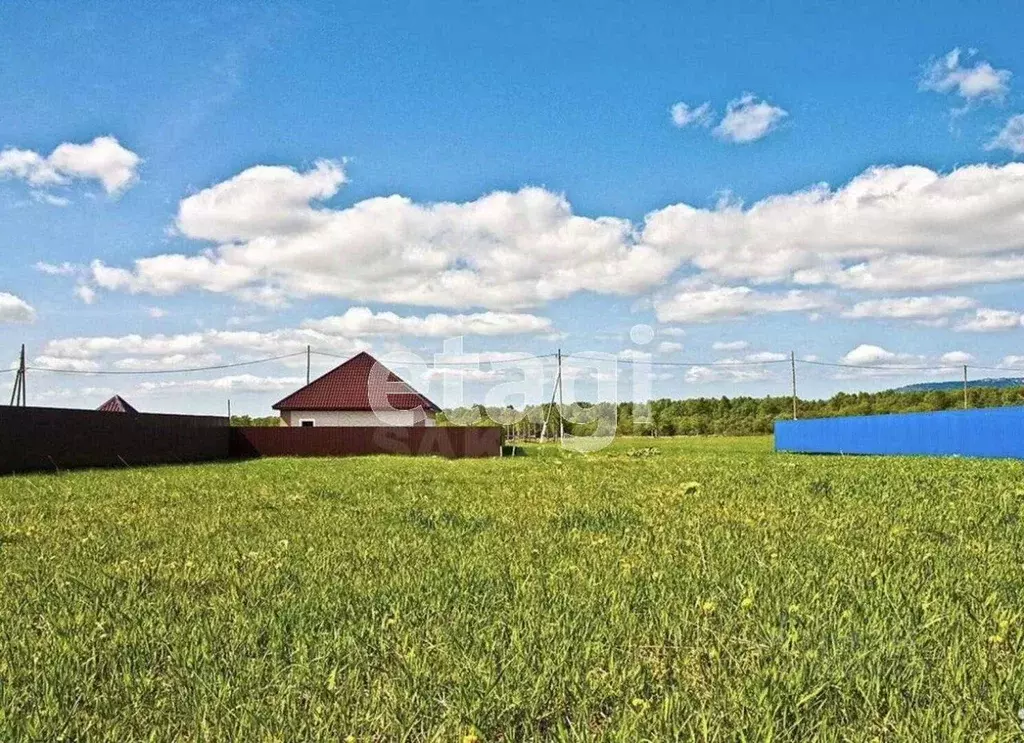 Участок в Ленинградская область, Волосовский район, Клопицкое с/пос, ... - Фото 1