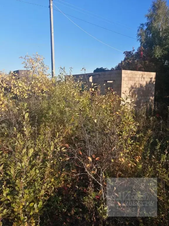 Участок в Челябинская область, Магнитогорск Металлург-2 садовое ... - Фото 2