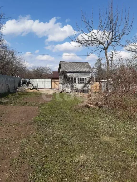 Снт холодильщик. Снт холодильщик. Садоводческое товарищество. Снт домостроитель 1 елизово. Дачный участок.