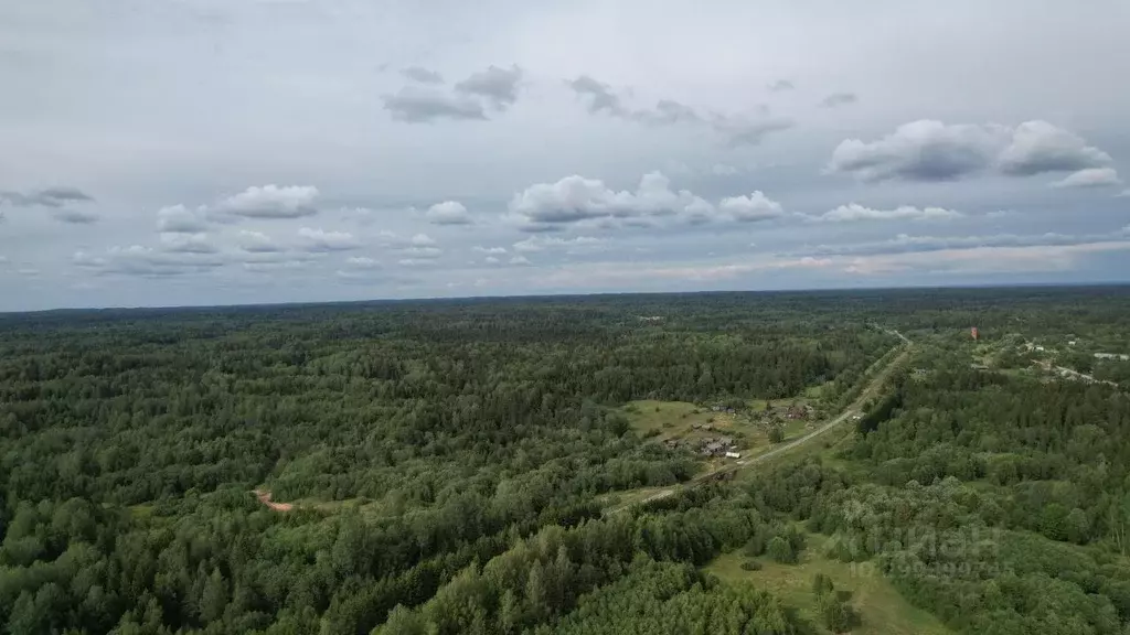 Участок в Тверская область, Торопецкий муниципальный округ, д. ... - Фото 1