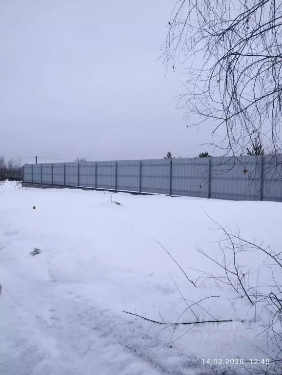 Участок в Воронежская область, Воронеж ул. Черничная, 44 (10.0 сот.) - Фото 1