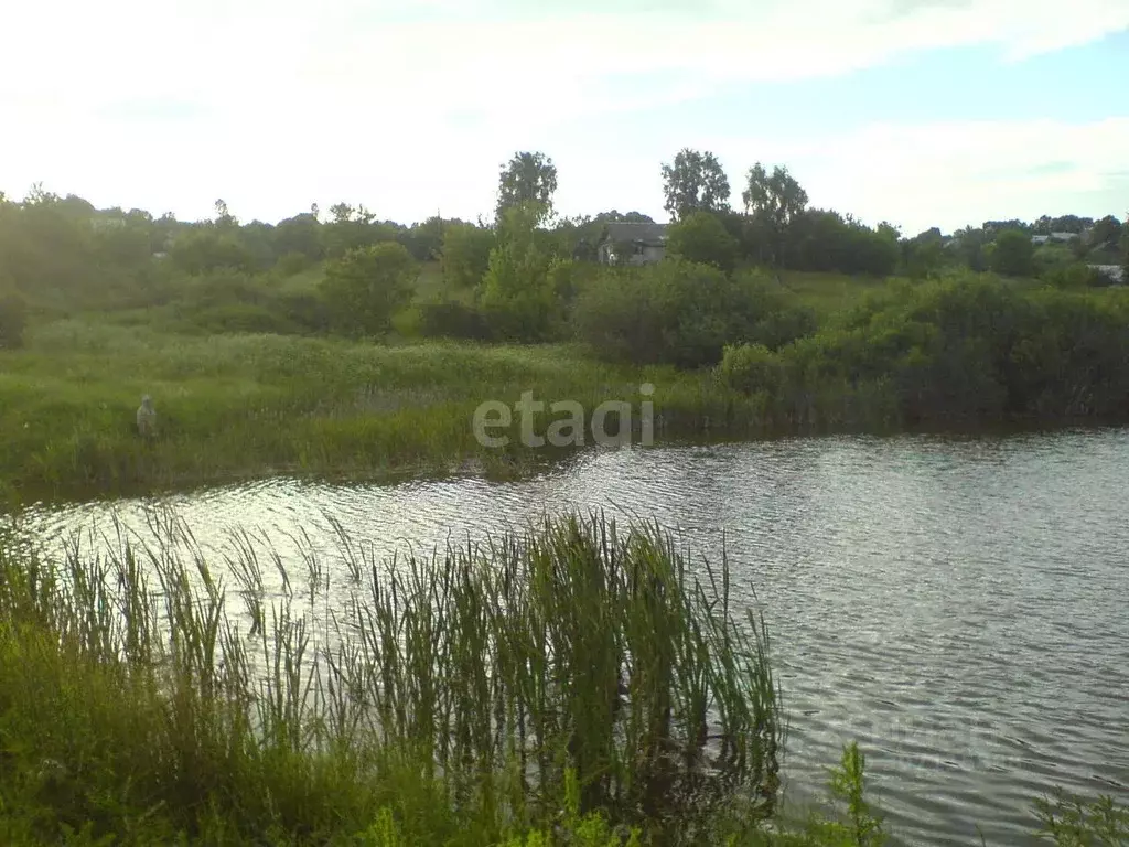 Участок в Нижегородская область, Кстовский муниципальный округ, д. ... - Фото 0