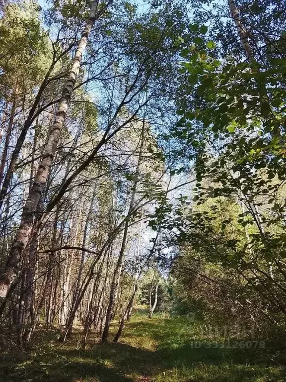 Участок в Тульская область, Алексин ул. Мира, 19 (11.5 сот.) - Фото 1