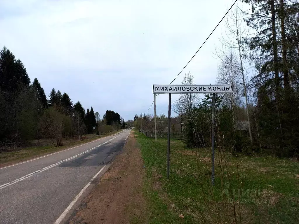 Участок в Ленинградская область, Бокситогорский район, Большедворское ... - Фото 2