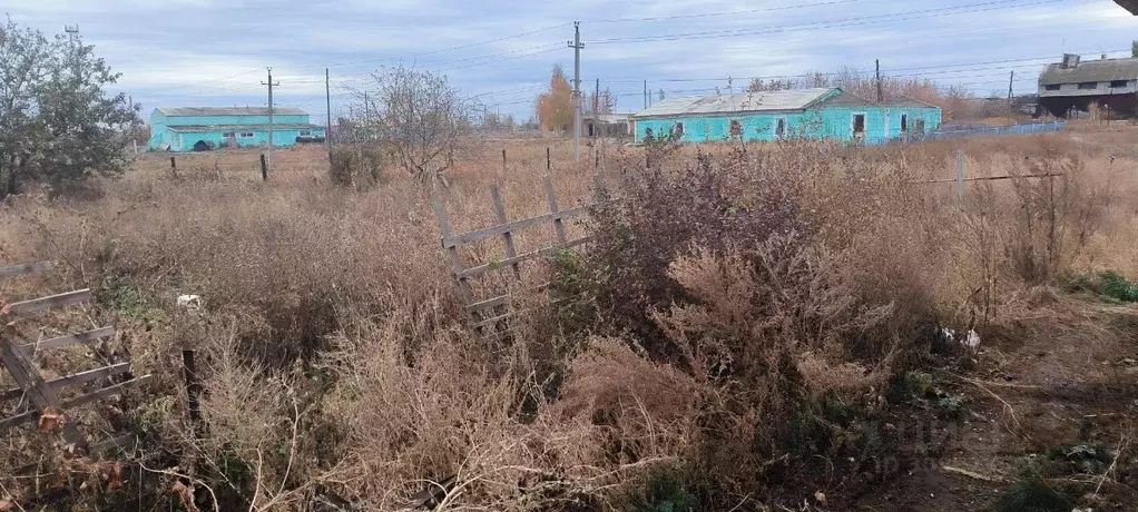 Участок в Оренбургская область, Оренбургский район, с. Подгородняя ... - Фото 1