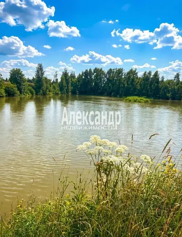 Дом в Ленинградская область, Лодейнопольский район, Доможировское ... - Фото 1